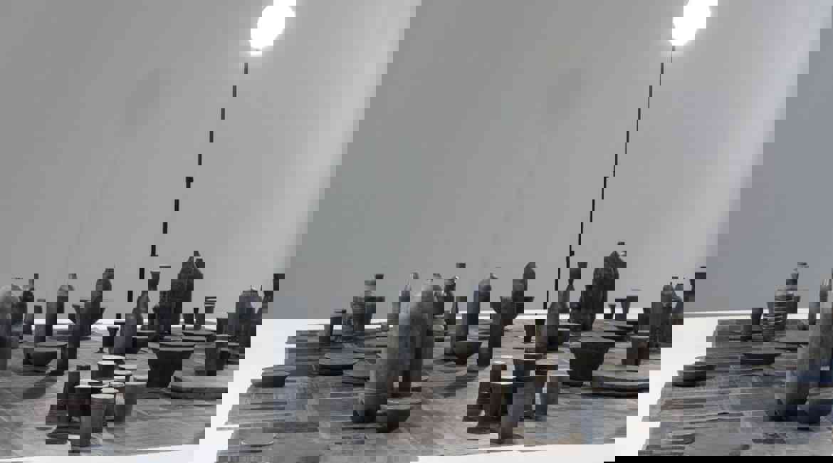 FAV6770