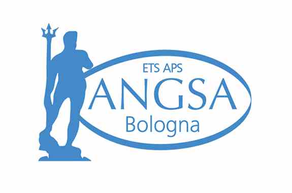 Logo ANGSA 3000