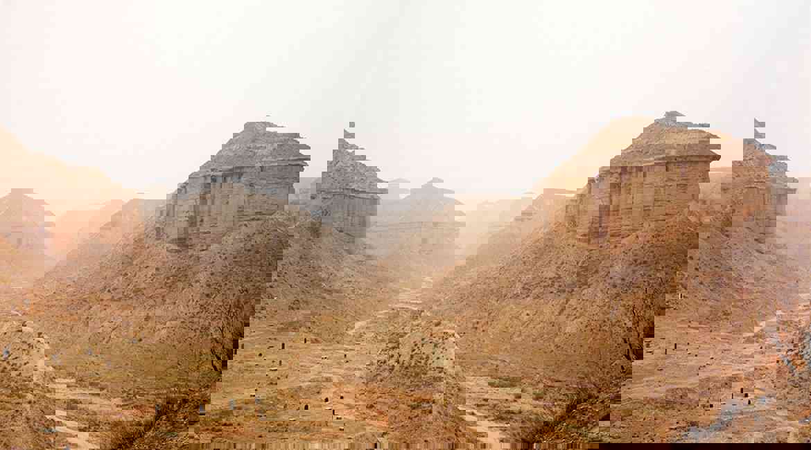 2006 ECOLOGISTS PLACE