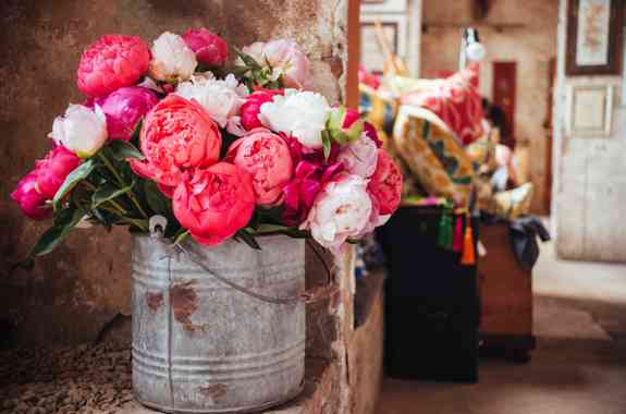 Peonia In Bloom © Tutti I Diritti Riservati Fotografa Beatrice Ga