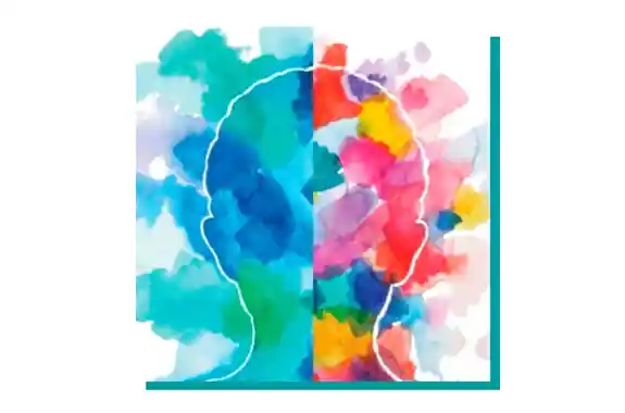 Copertina Psicologo Di Base 2