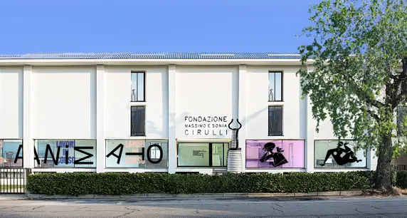 Fondazione Massimo e Sonia Cirulli