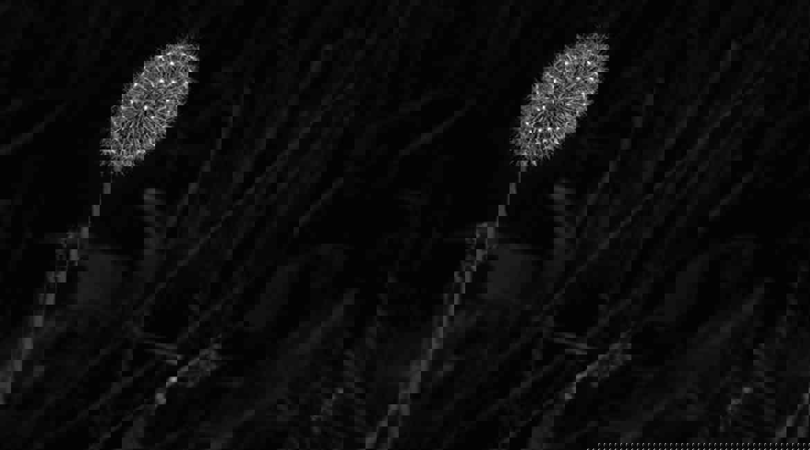 DAZZLE