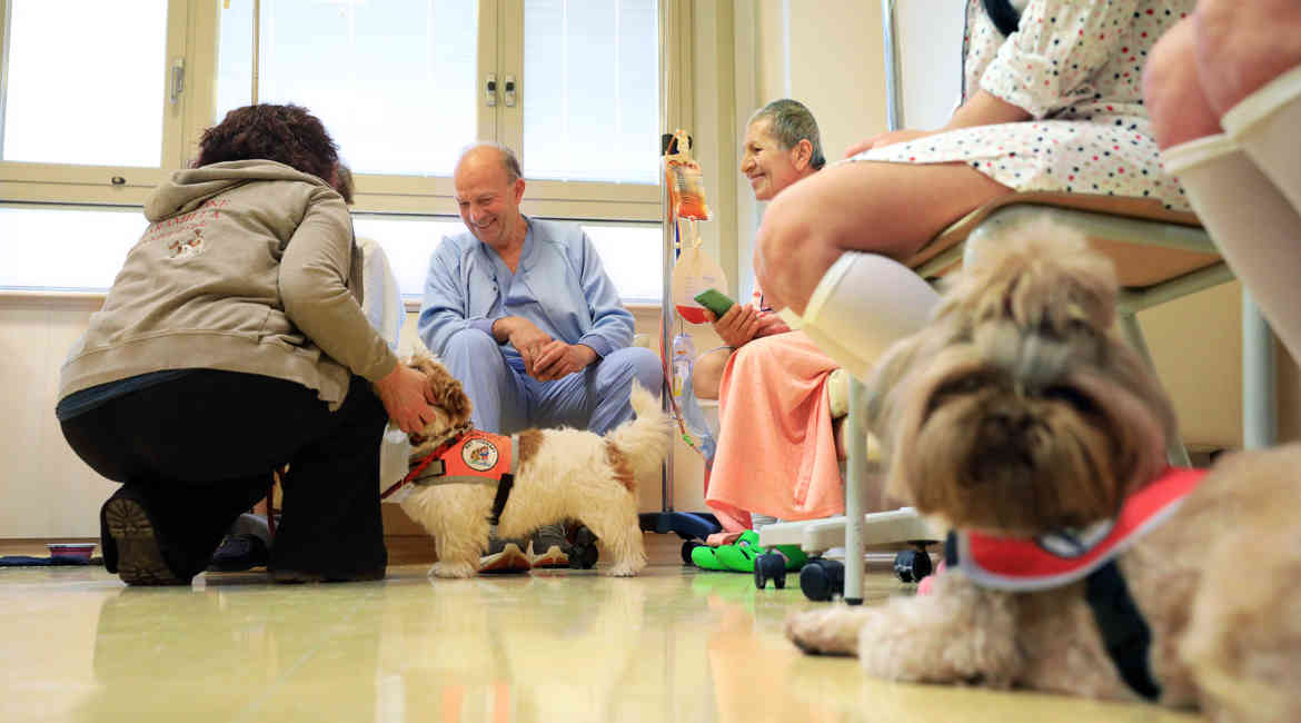 Pet Therapy Banca Di Bologna 2 (1)