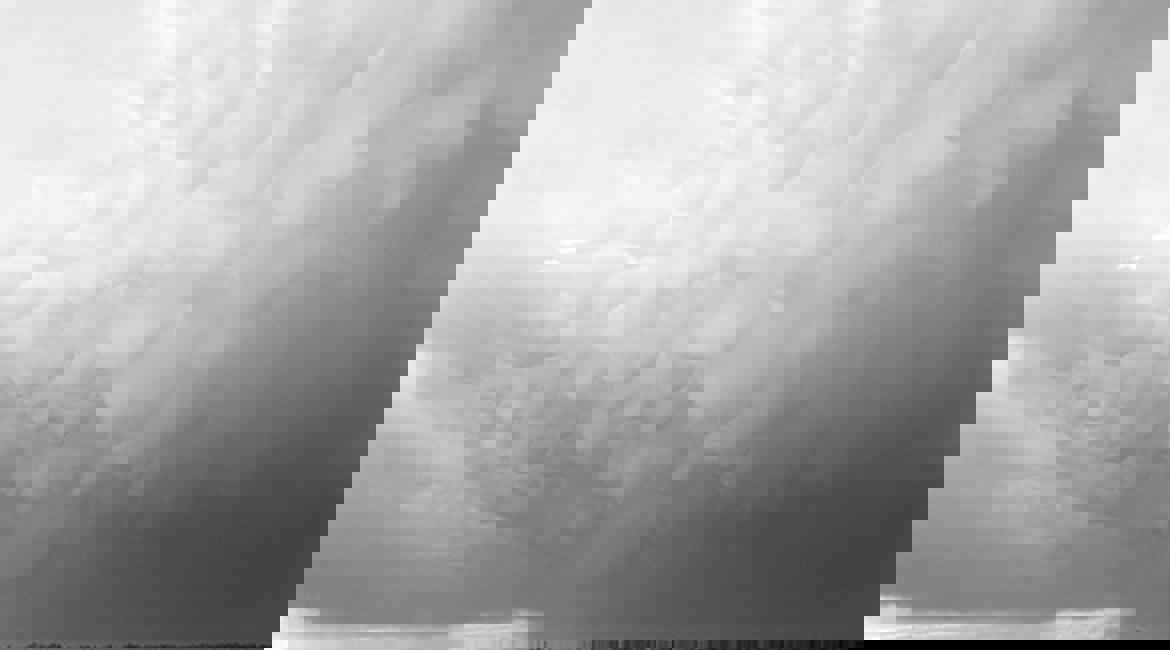 2010 MAMMATUS