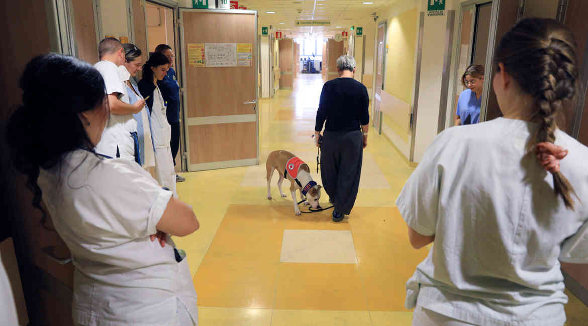 Pet Therapy Banca Di Bologna 4
