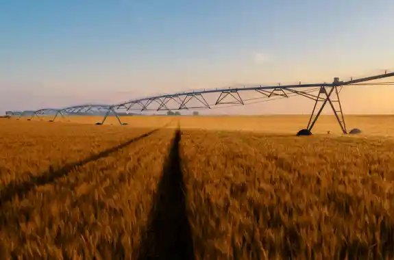 Finanziamenti Agevolati