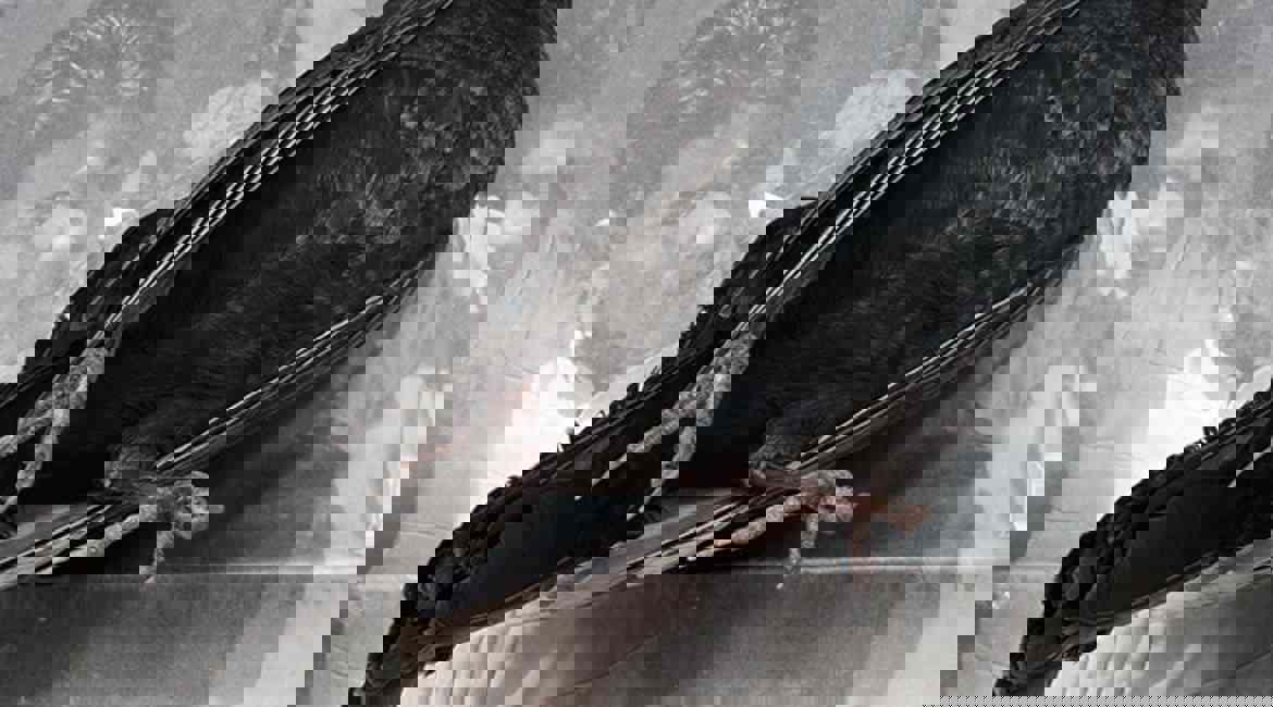 2008 DEAD BIRD