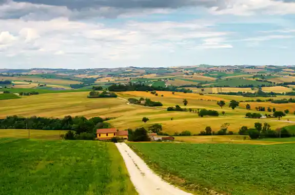 Complemento Di Sviluppo Rurale