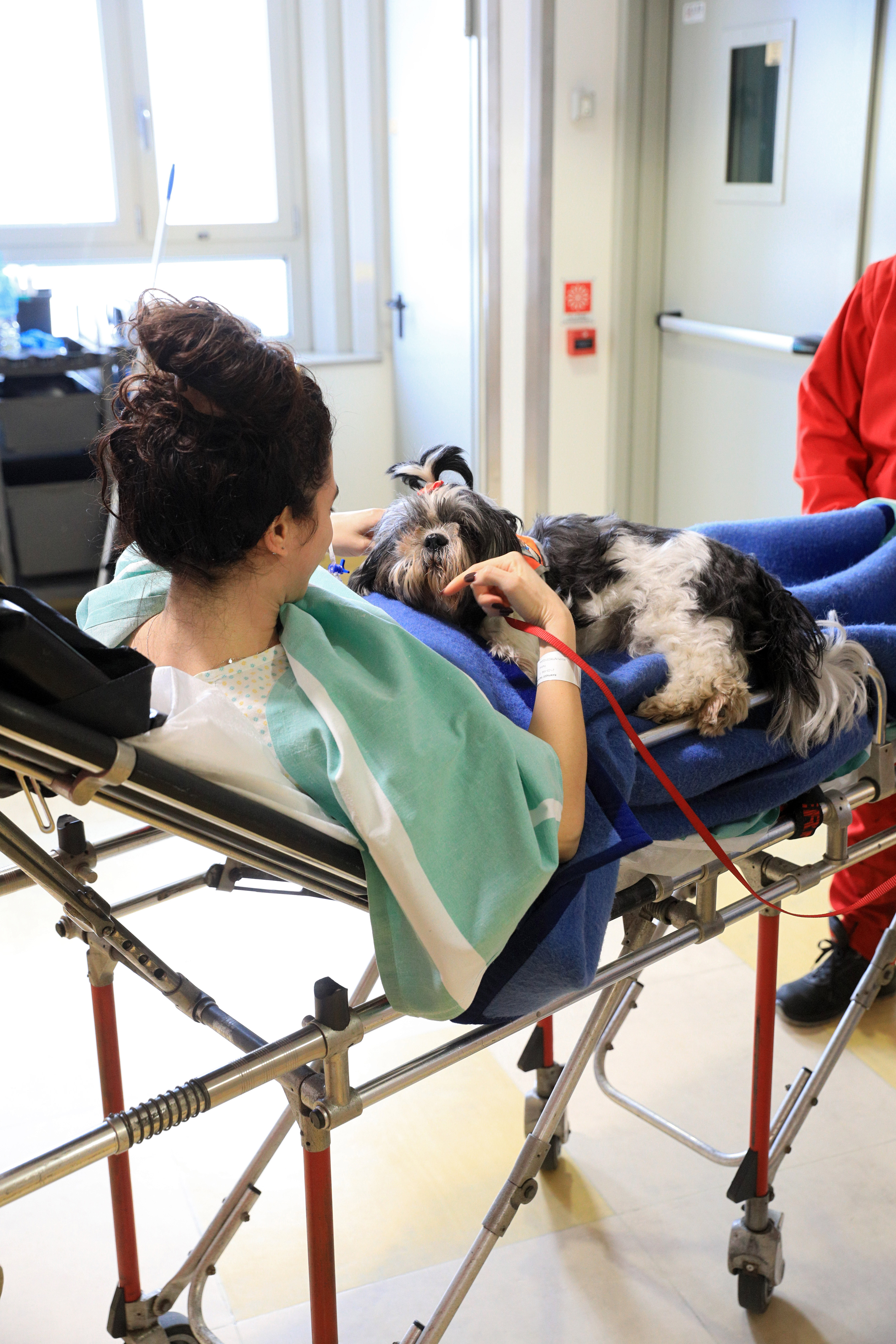 Pet Therapy Banca Di Bologna 5 (1)