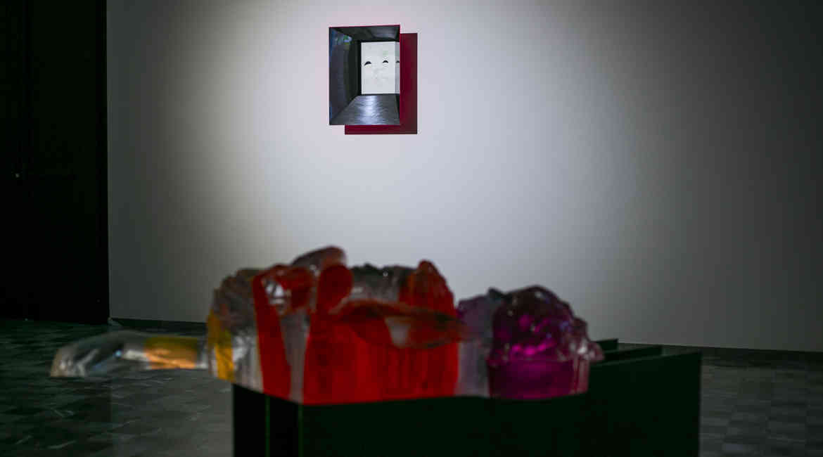 IMG 9546