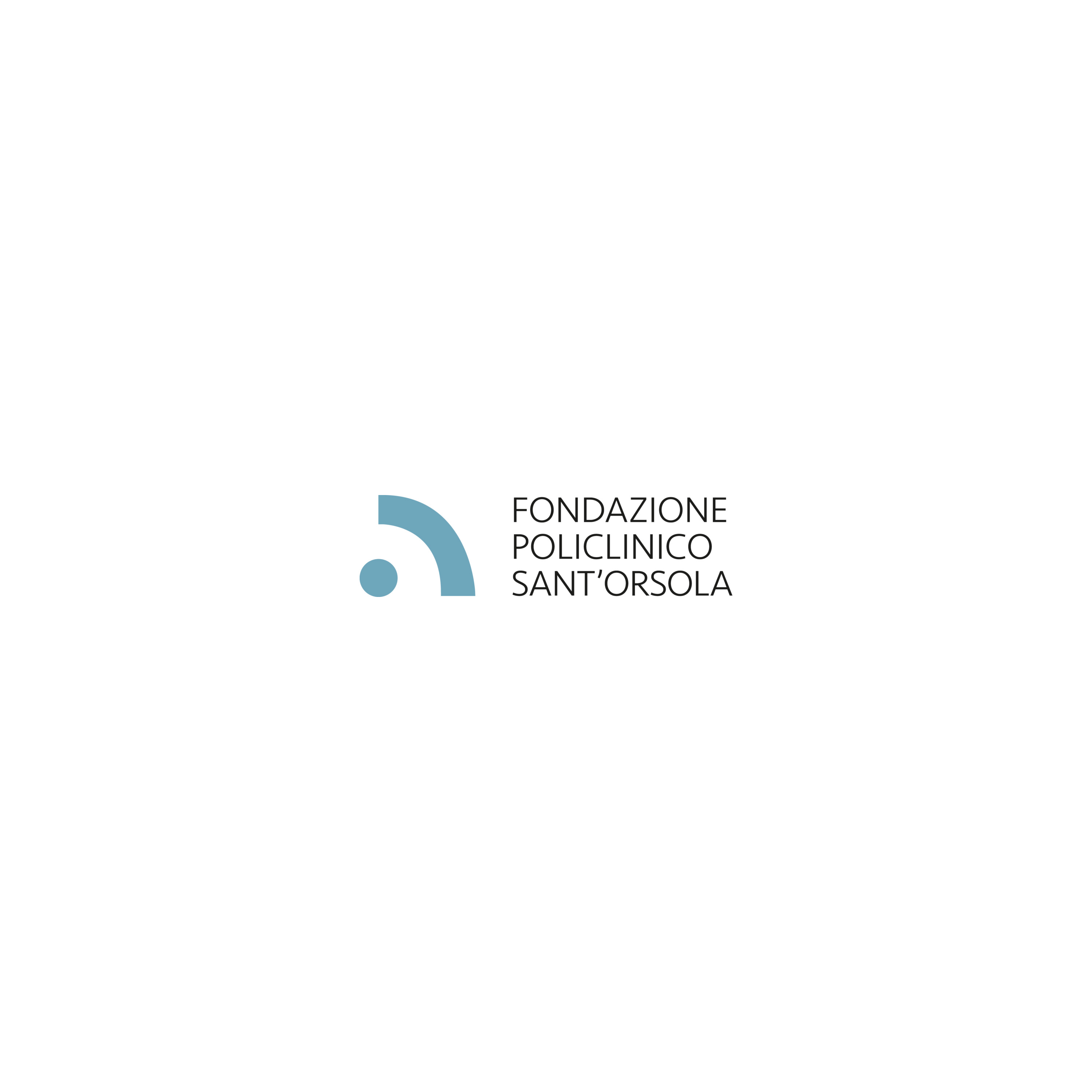 Fondazione Sorsola WEB
